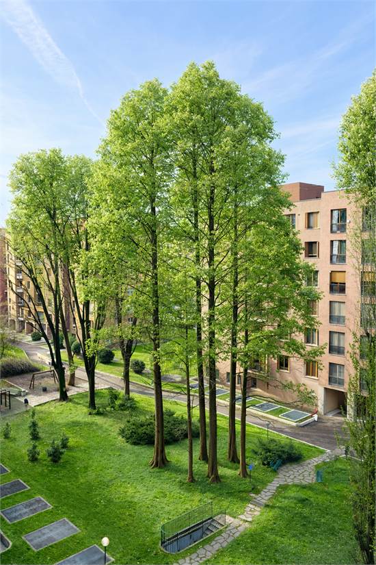 Giardino condominiale