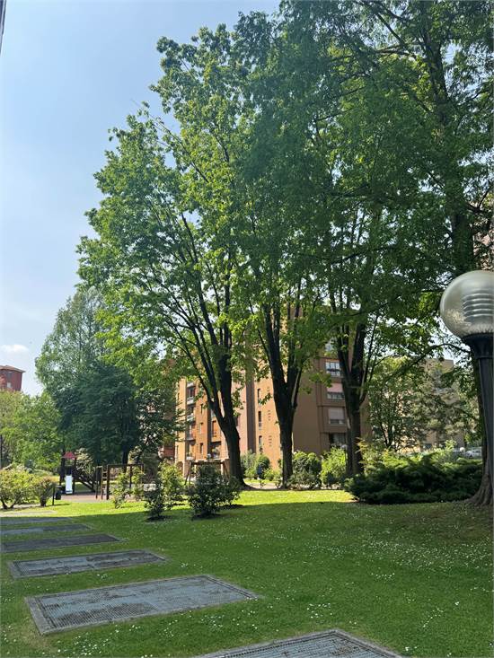 Giardino condominiale