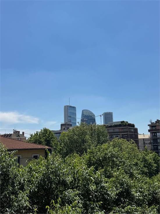 Vista