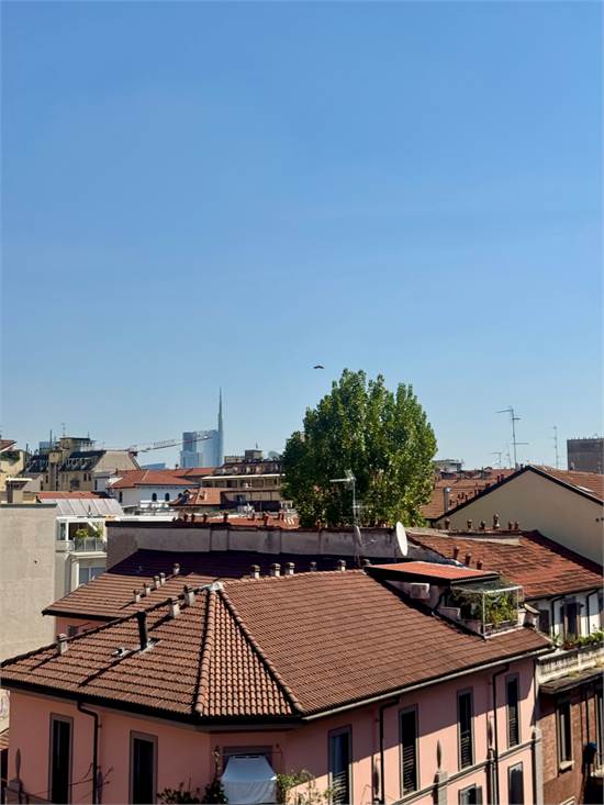 Vista