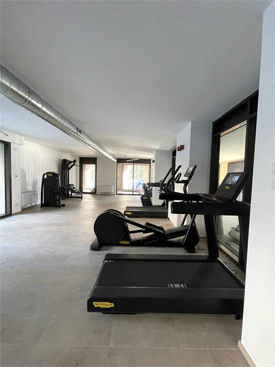 Palestra